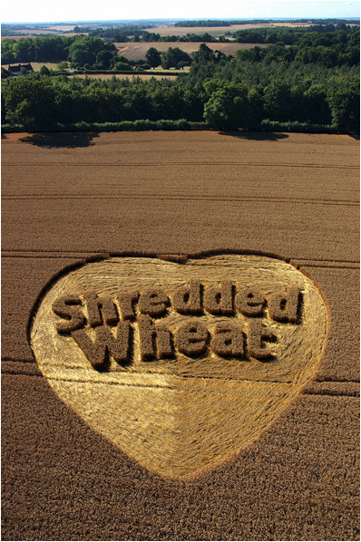 Shredded Wheat crop circle